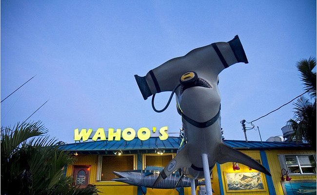 Iconic hammerhead entrance at Wahoo’s Seafood Bar and Grill in Islamorada