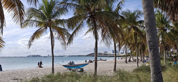 hobie island beach in miami